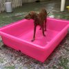 Large dog paddling pool uk
